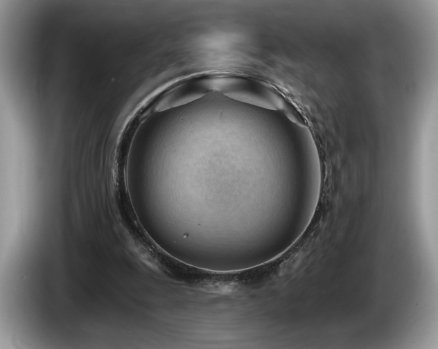 X0000087550247200704271213