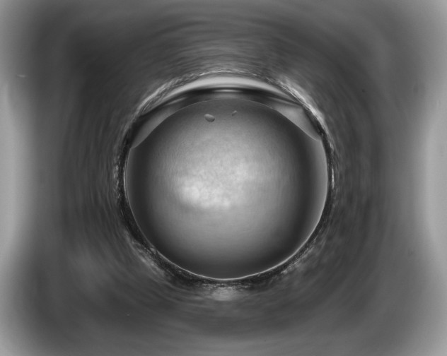 X0000087550249200704271213
