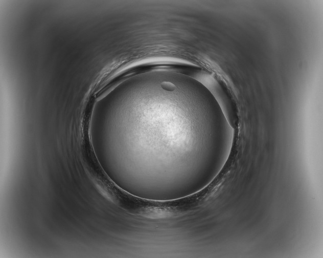 X0000087550250200704271213