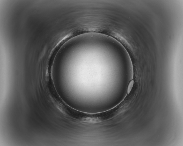 X0000087550251200704271213