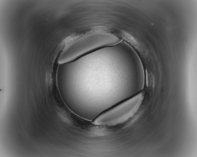 X0000087550252200704271213