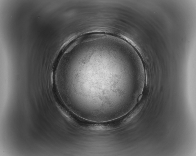 X0000087550253200704271213