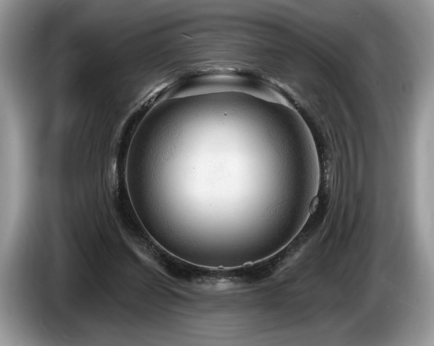 X0000087550254200704271213