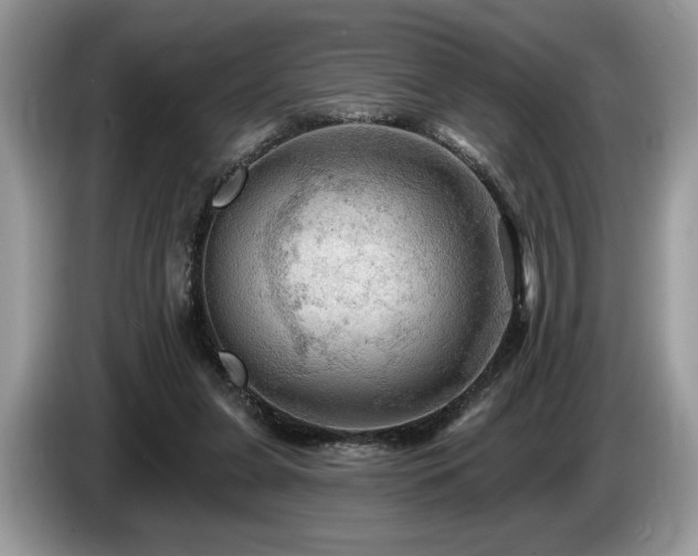 X0000087550255200704271213