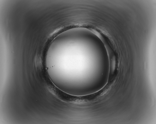 X0000087550256200704271213