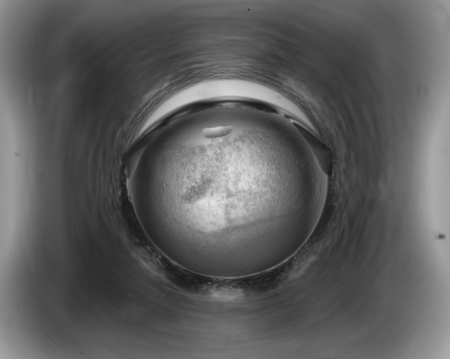 X0000087550258200704271213