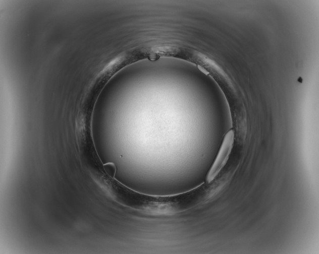 X0000087550260200704271213