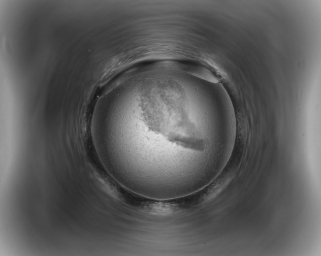 X0000087550261200704271213