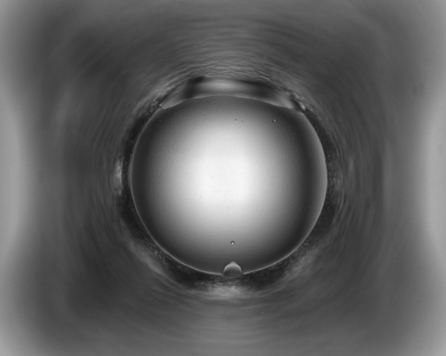 X0000087550262200704271213