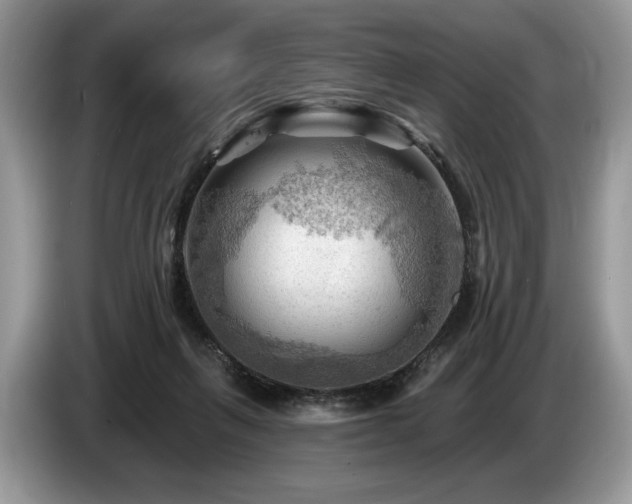 X0000087550263200704271213
