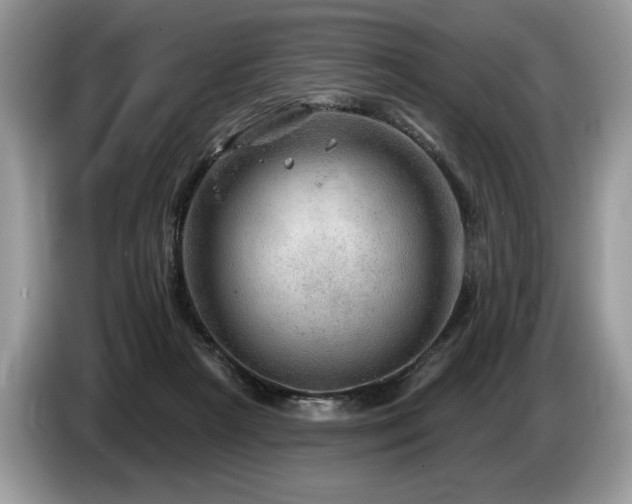 X0000087550265200704271213