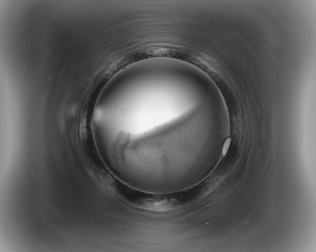 X0000087550267200704271213