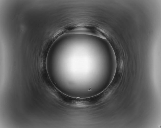 X0000087550268200704271213