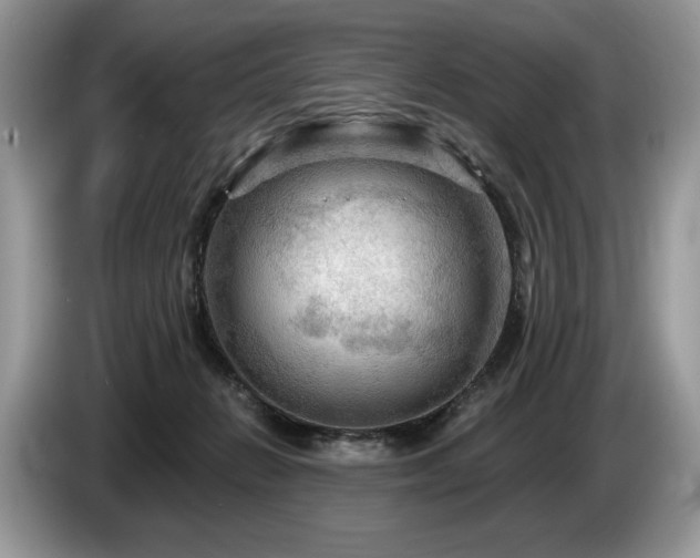X0000087550270200704271213