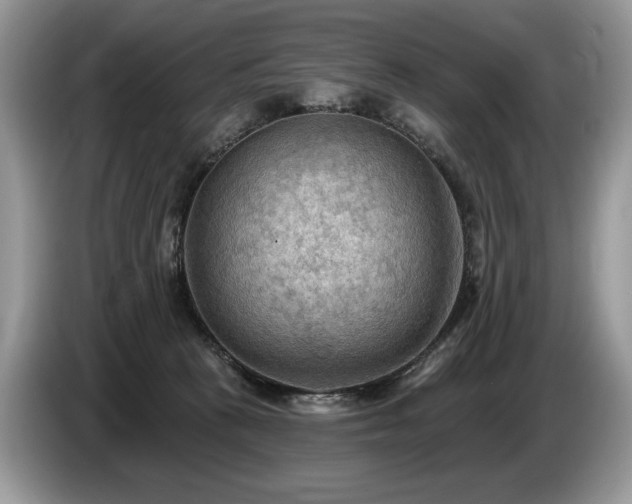 X0000087550273200704271213