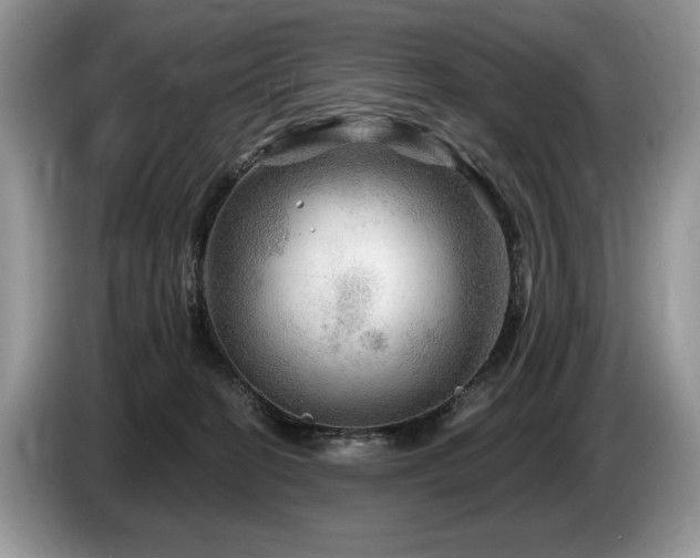 X0000087550274200704271213