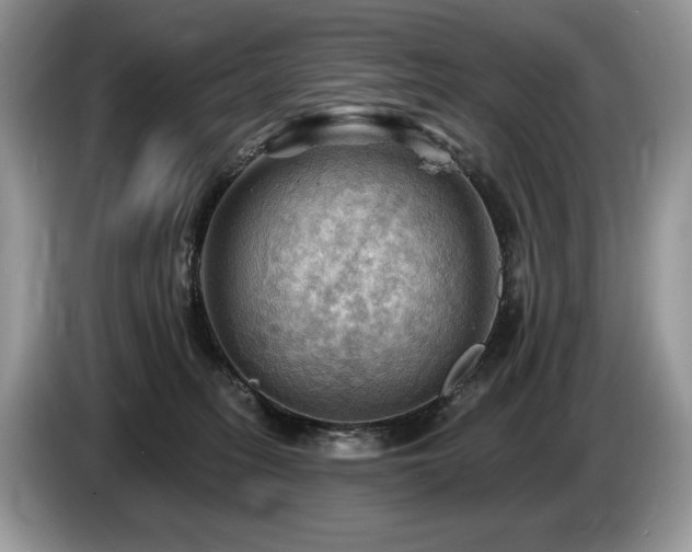 X0000087550275200704271213