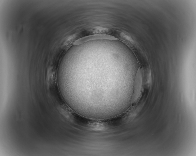X0000087550276200704271214