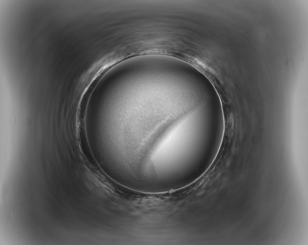 X0000087550290200704271213