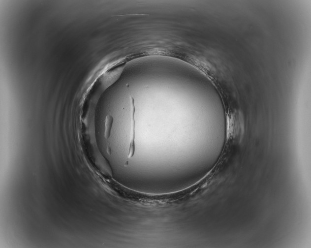 X0000087550291200704271213