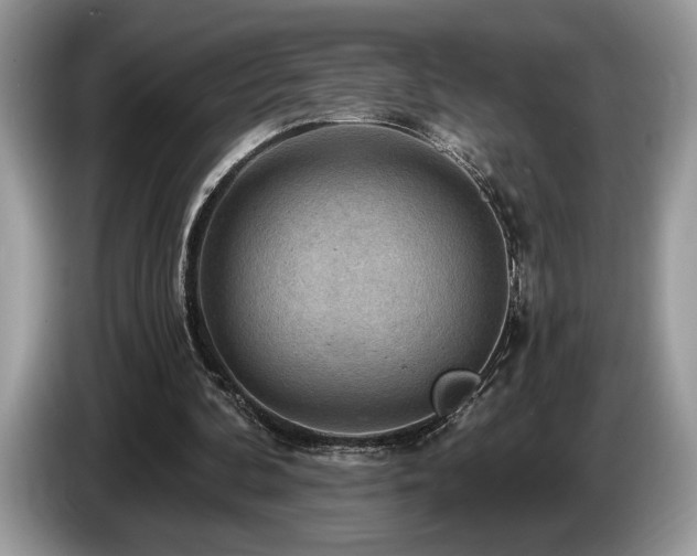 X0000087550292200704271213
