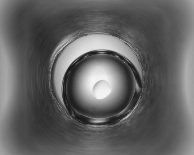 X0000087550293200704271213