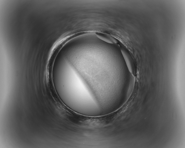 X0000087550294200704271213