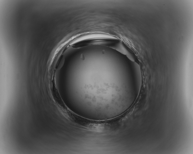 X0000087550295200704271213