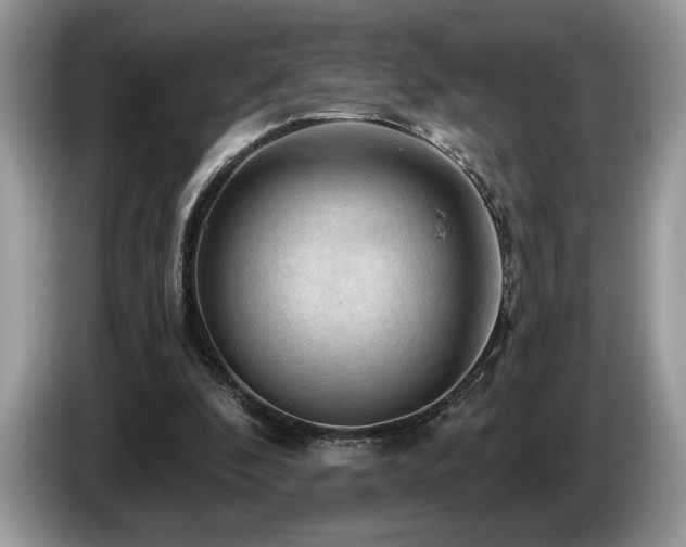 X0000087550296200704271213