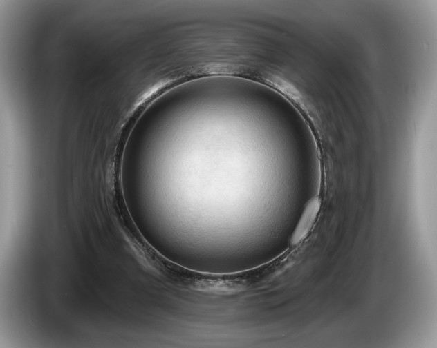 X0000087550297200704271213