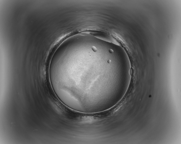 X0000087550298200704271213