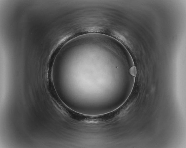 X0000087550299200704271213