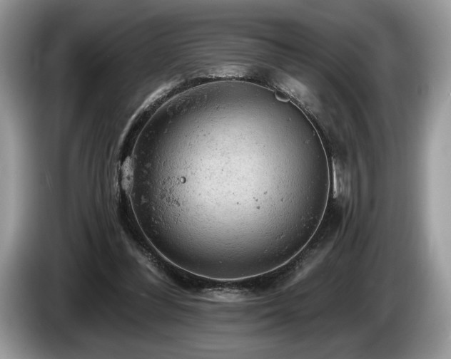 X0000087550300200704271213