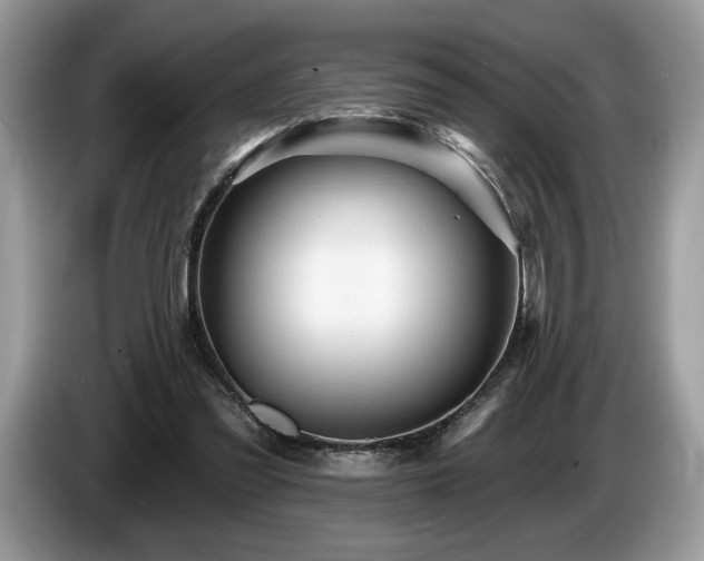 X0000087550301200704271213