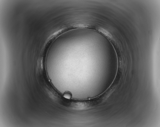 X0000087550302200704271213