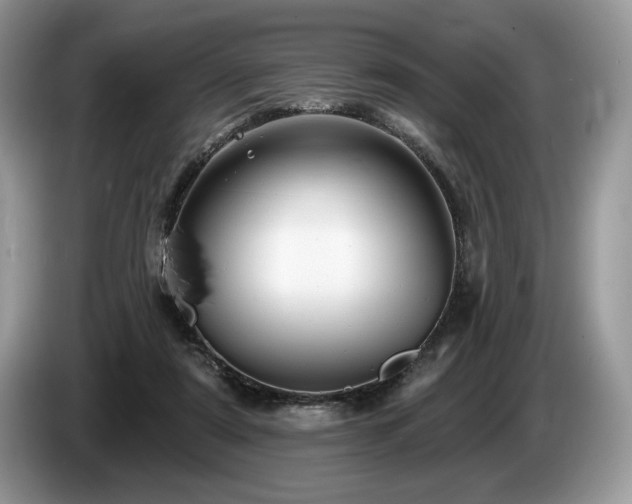 X0000087550307200704271213