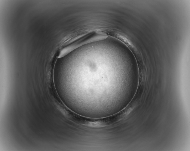 X0000087550309200704271213