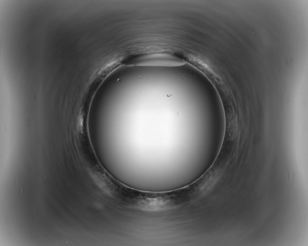X0000087550310200704271213