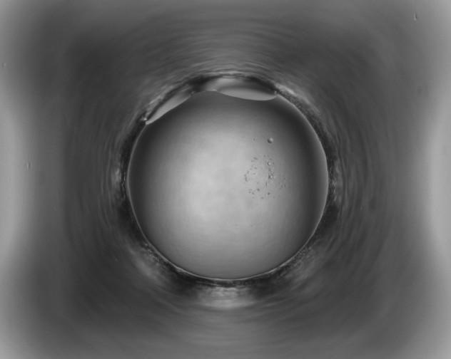 X0000087550314200704271213