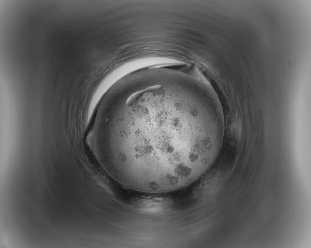 X0000087550315200704271213