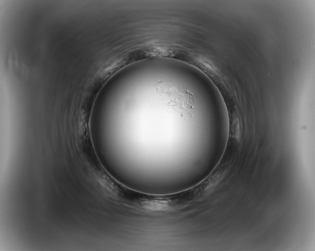 X0000087550318200704271213