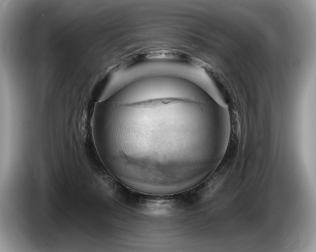 X0000087550319200704271213