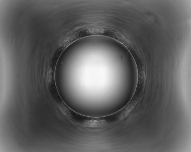 X0000087550323200704271213