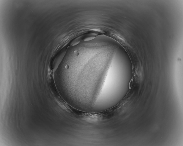 X0000087550330200704271213