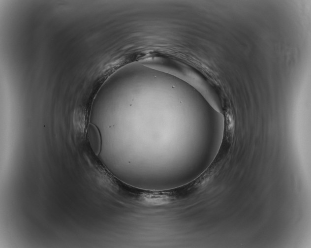 X0000087550331200704271213