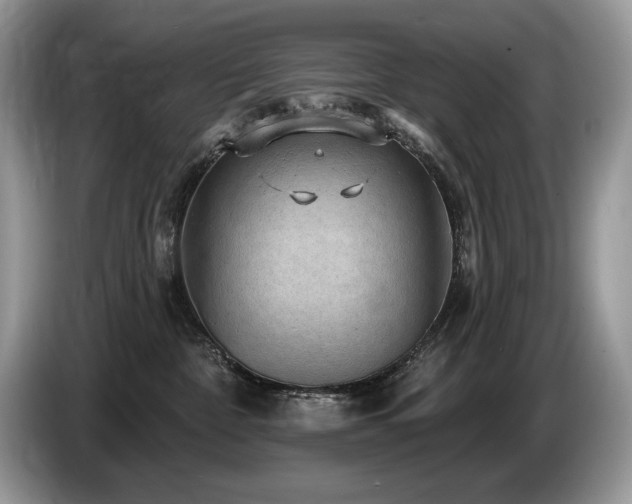 X0000087550332200704271213