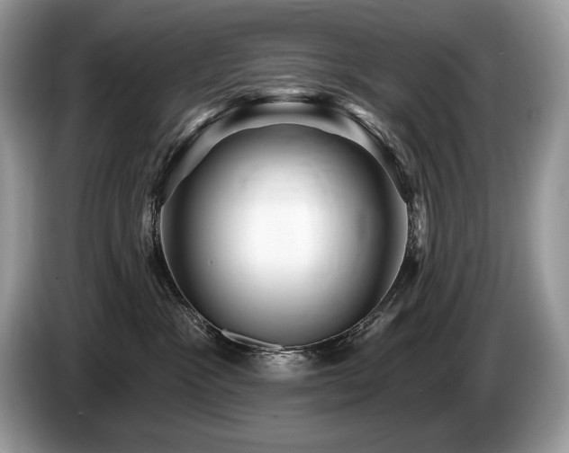 X0000087550333200704271213