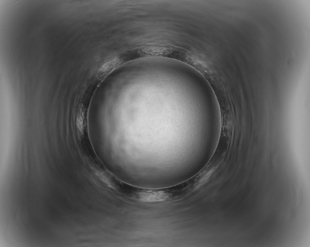 X0000087550334200704271213