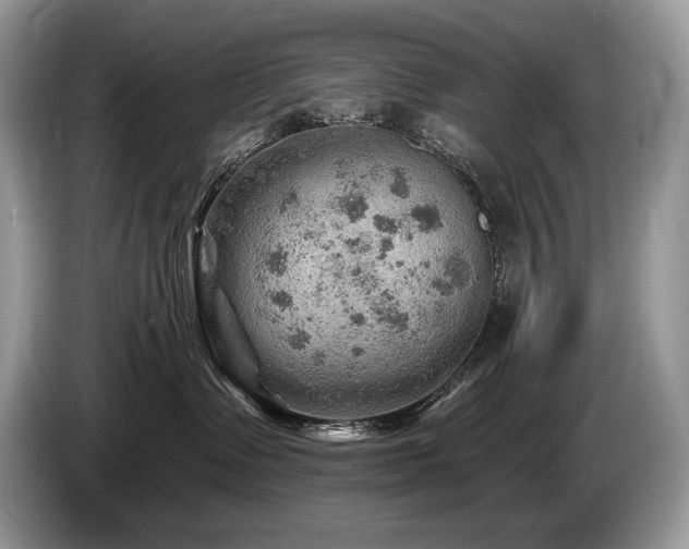 X0000087550335200704271213