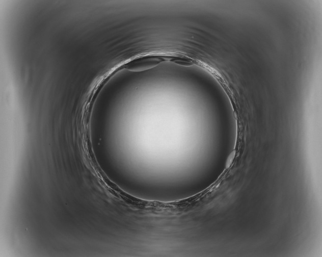 X0000087550337200704271212